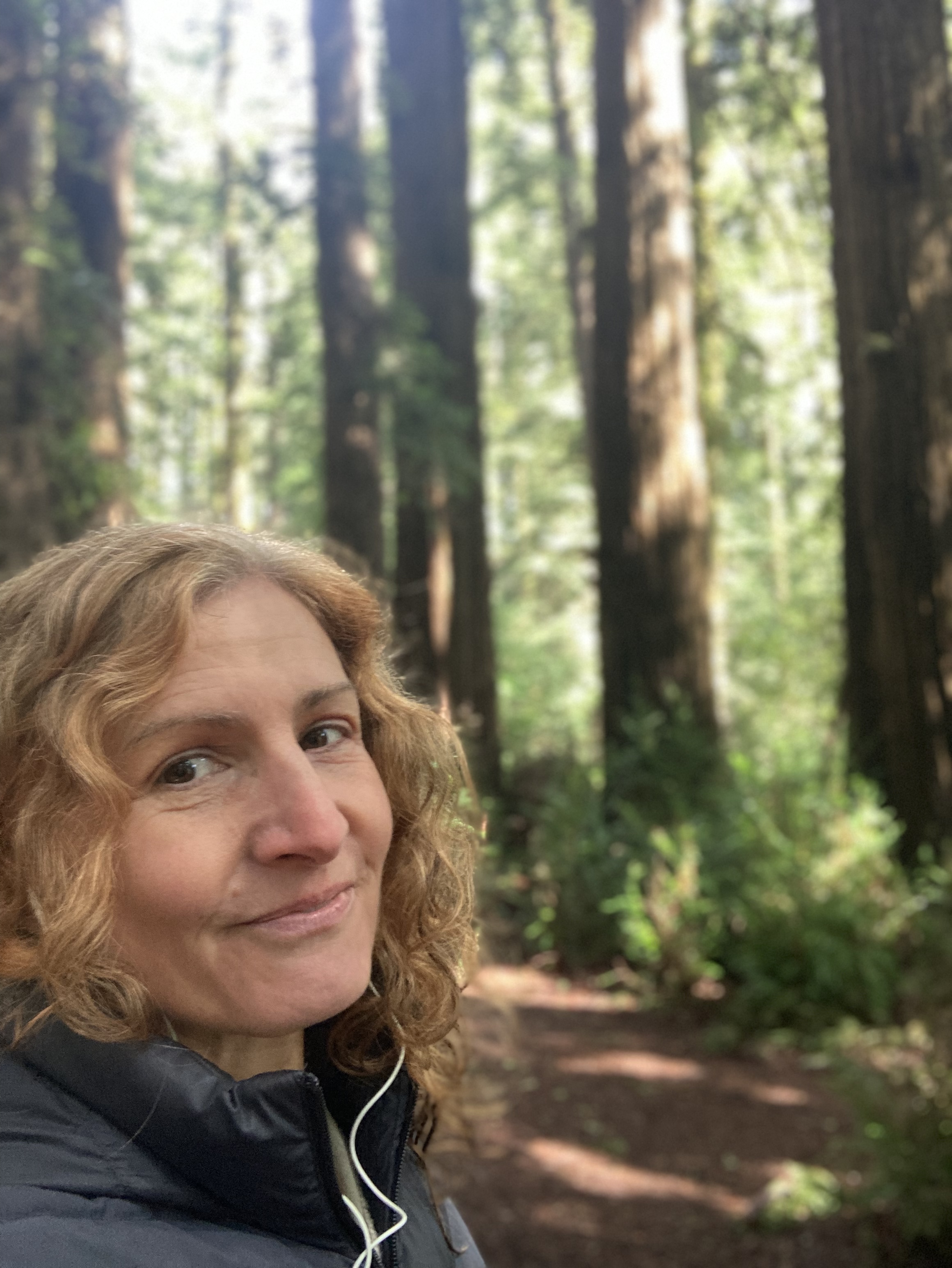 Padma in the redwoods