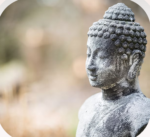 Guided meditations